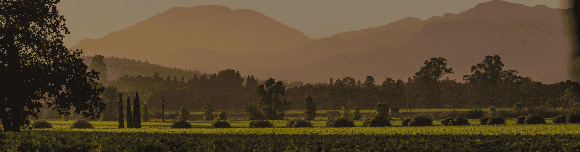 Napa Valley MIT Featured in the Napa Valley Register