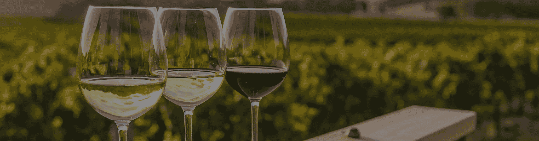 Planning the Perfect Napa Valley Getaway in 2027